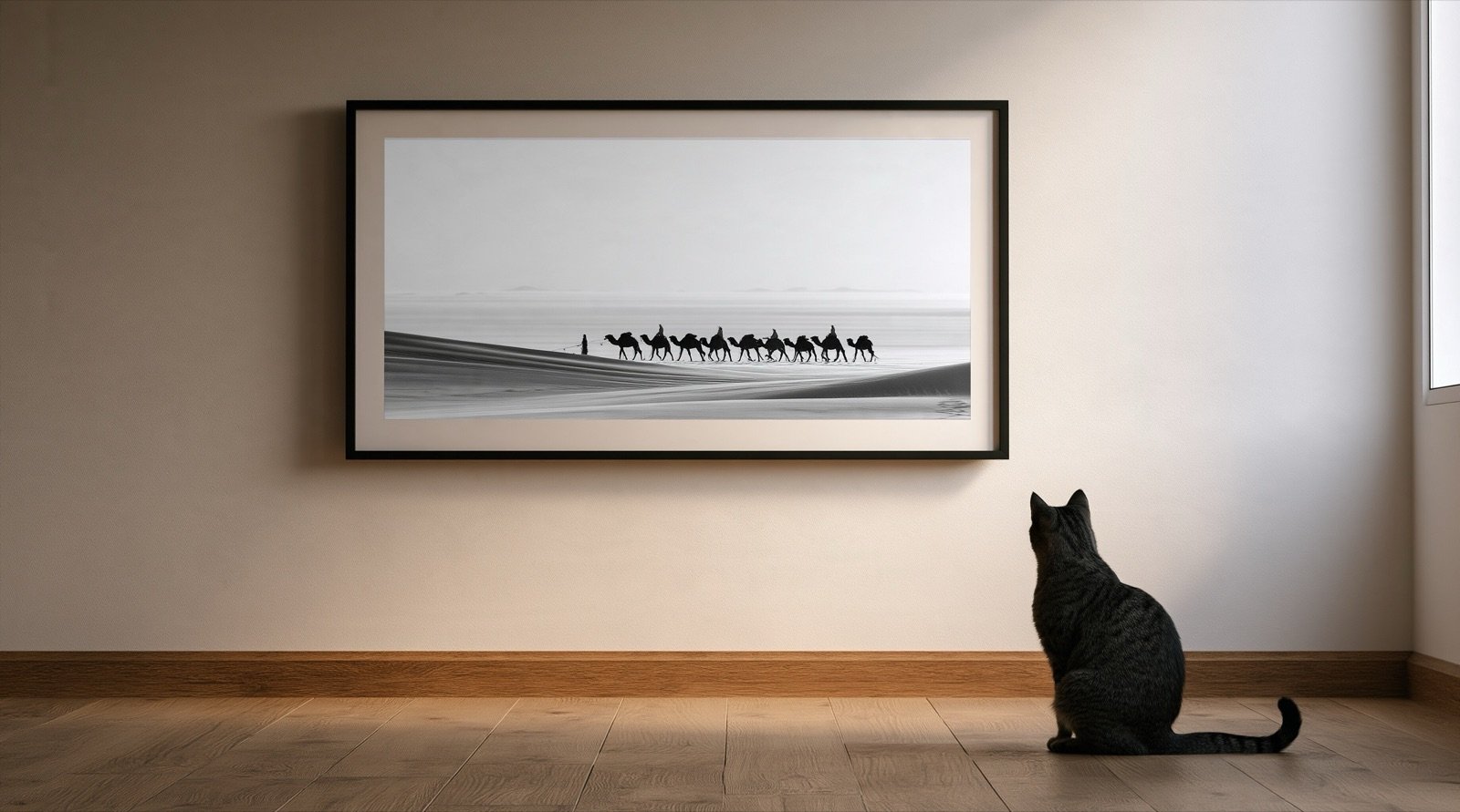 Photographie d’une caravane dans le désert, regardée par un chat assis sur le parquet.