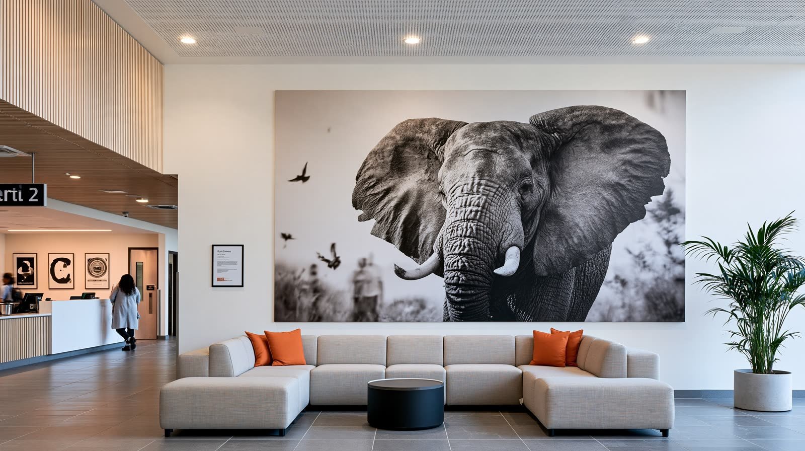 Un éléphant de face, oreilles déployées, tirage mural au-dessus d’un grand canapé d’angle.